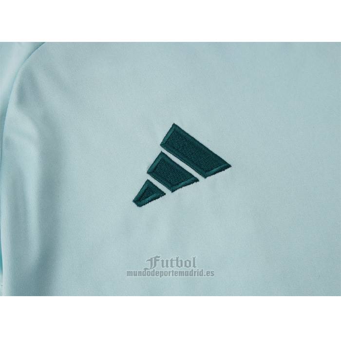 Chandal del Cruzeiro Manga Corta 2024-2025 Verde Pantalon Corto